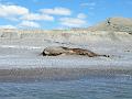 Wales-Nome 130